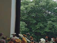 -花满楼(启秀路店)