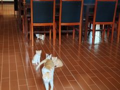 -湖南省立第一师范学校旧址