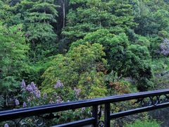 -深圳东部华侨城茵特拉根酒店