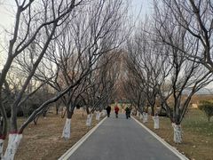 -石家庄市植物园