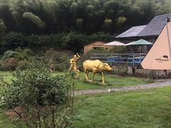 -宁波浙东大竹海景区