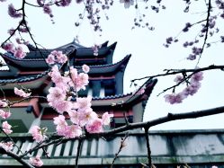 -丽都整形美容医院·全国连锁旗舰店