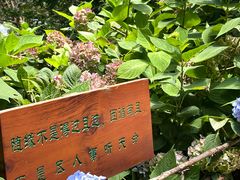 -寂照庵
