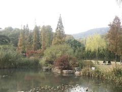 -习家池