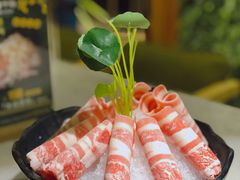 精选安格斯肥牛-狐狸爱上椰子鸡(滨江星光大道店)