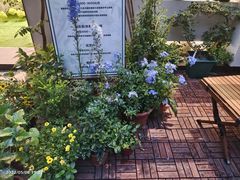 -花十悦·鲜花咖啡餐厅(振业城一期店)