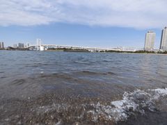 -台场海滨公园船码头