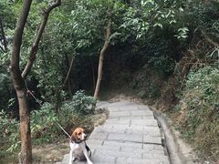 -火炉山森林公园