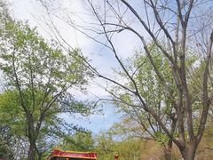 -惠山国家森林公园