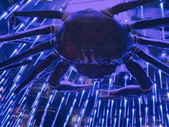 -蟹之国·精品蟹料理(极地店)