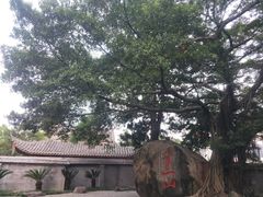 -乌山风景区