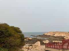 -养马岛旅游度假区