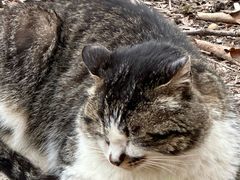 -终南山南五台景区