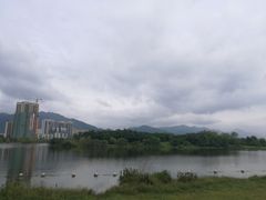 -飞来湖湿地公园