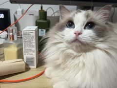 -佳雯宠物医院·皮肤科·内外科(春晓路分院)