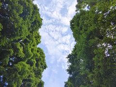 -龙头寺公园