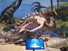 -自贡恐龙博物馆