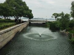 -金鸡湖景区