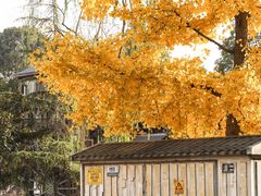 -成都市活水公园