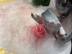 -行家海鲜火锅酒家(静安寺店)