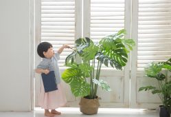 -DORA kids 朵拉儿童摄影花园店