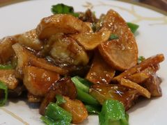 铁板三鲜-石老头关东饺子王·东北菜(嘉华鑫城店)