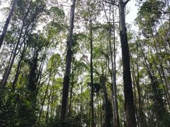 -水濂山森林公园