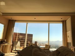 -拉斯维加斯永利酒店