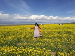 -青海湖国家重点风景名胜区