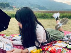 -风云岭森林公园