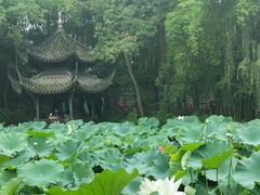 -三苏祠