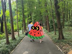 -上海滨江森林公园