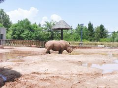 -鄂尔多斯野生动物园