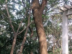 -南山风景名胜区
