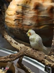 -Zoolung Zoolung动物主题公园(海信广场店)