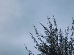 -白沙门生态公园