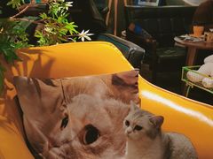 -咖法森林·咖啡  酒吧(天河店)