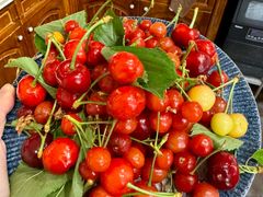 -小红楼美术馆·咖啡