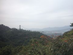 -南丹山森林王国