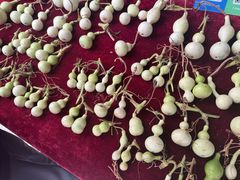 -中环花鸟鱼虫市场