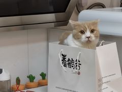 -青鹤谷(苏州店)