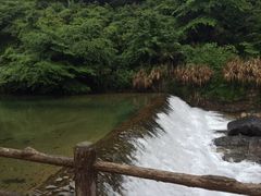 -徽州美食(三十年老店)