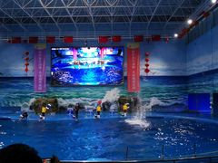 -多彩贵州城极地海洋世界