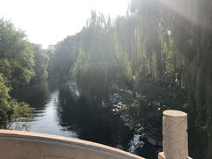 -百脉泉景区