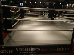 -VLines耀能运动24小时·月付制健身(京广桥店)