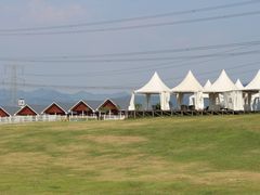 -紫颐香薰山谷景区