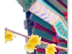 -月坛公园