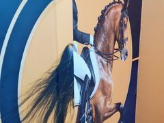 -影都会酒店式主题情侣私人影院猫舍猫咖店(中街店)