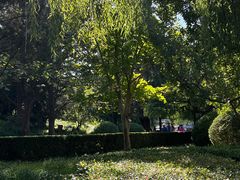 -团结湖公园
