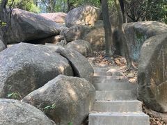 -火炉山森林公园